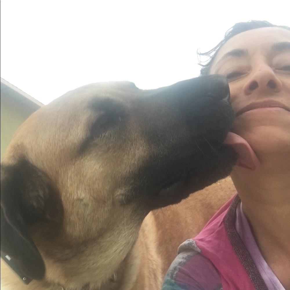 Meet your Posher, Dilek
